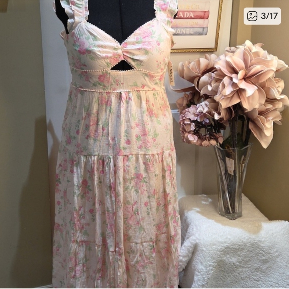 Nwt XL & Large Trixxy Chic Floral Maxi Dress in Pink